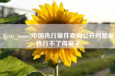 塔城中国执行案件查询公开网都是执行不了得案子