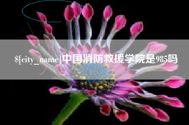 塔城中国消防救援学院是985吗