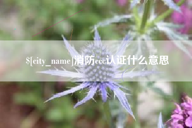 塔城消防ccc认证什么意思