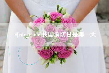 塔城我国消防日是哪一天