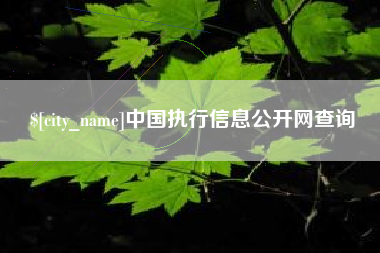 塔城中国执行信息公开网查询