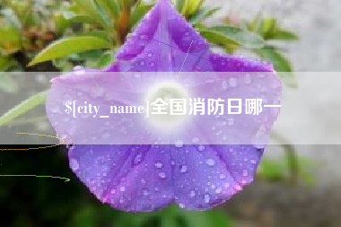 塔城全国消防日哪一