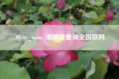 塔城消防证查询全国联网