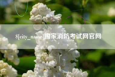 塔城国家消防考试网官网