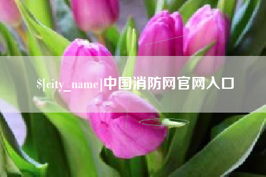 塔城中国消防网官网入口