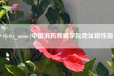 塔城中国消防救援学院地址路线图