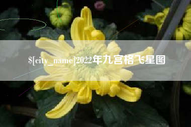塔城2022年九宫格飞星图