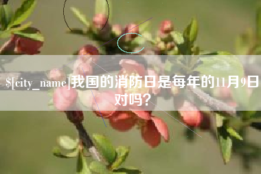 塔城我国的消防日是每年的11月9日对吗？