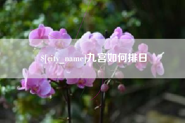 塔城九宫如何排日