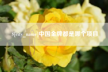 塔城中国金牌都是哪个项目