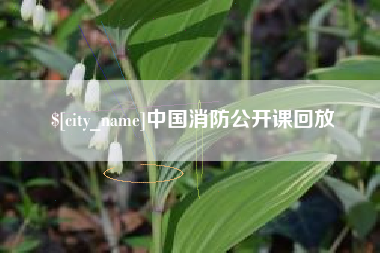 塔城中国消防公开课回放