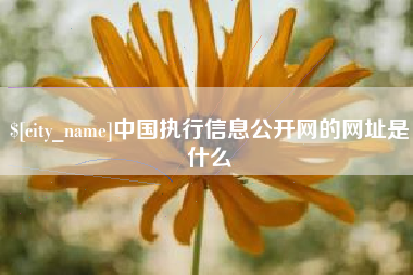 塔城中国执行信息公开网的网址是什么