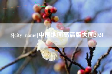 塔城中国地图高清版大图2024