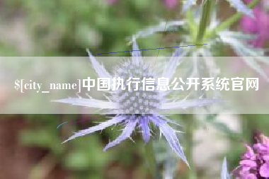 塔城中国执行信息公开系统官网