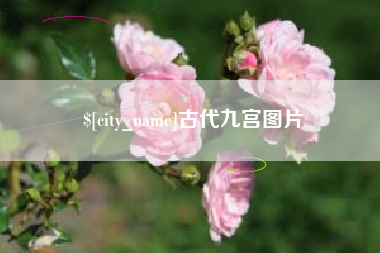 塔城古代九宫图片