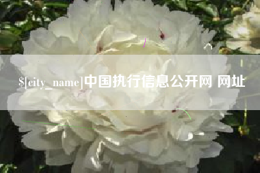 塔城中国执行信息公开网 网址