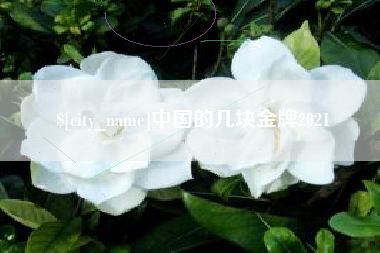塔城中国的几块金牌2021