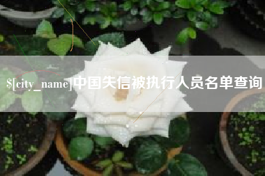 塔城中国失信被执行人员名单查询