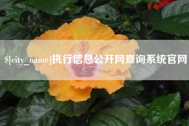 塔城执行信息公开网查询系统官网