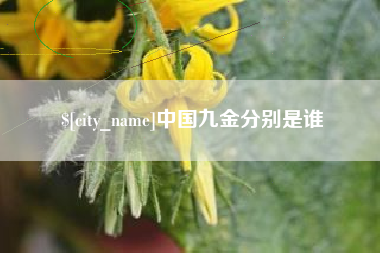 塔城中国九金分别是谁
