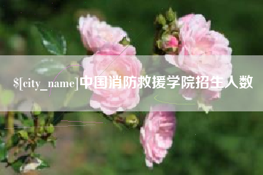 塔城中国消防救援学院招生人数