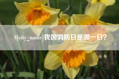 塔城我国消防日是哪一日？