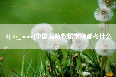 塔城中国消防救援学院都考什么