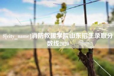 塔城消防救援学院山东招生录取分数线2020