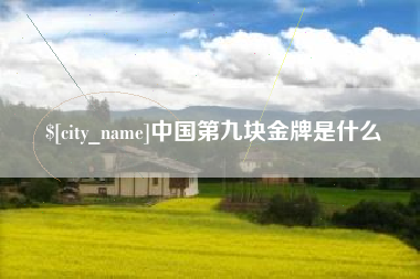 塔城中国第九块金牌是什么