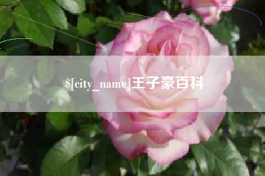 塔城王子豪百科
