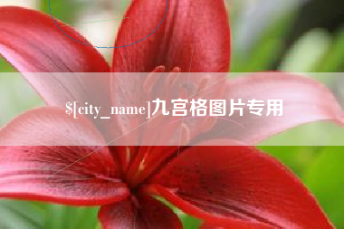 塔城九宫格图片专用