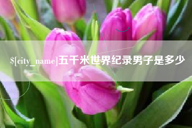 塔城五千米世界纪录男子是多少