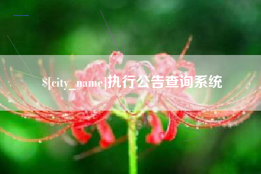 塔城执行公告查询系统