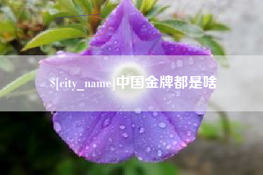塔城中国金牌都是啥