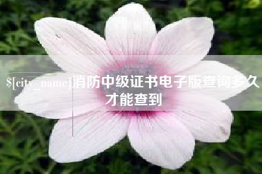 塔城消防中级证书电子版查询多久才能查到