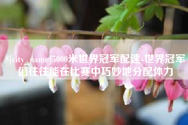 塔城5000米世界冠军配速-世界冠军们往往能在比赛中巧妙地分配体力
