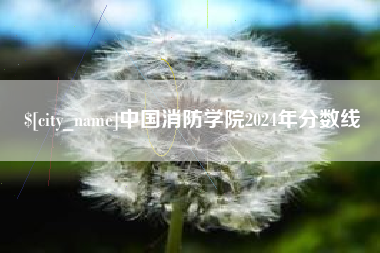 塔城中国消防学院2024年分数线
