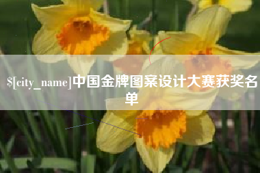 塔城中国金牌图案设计大赛获奖名单