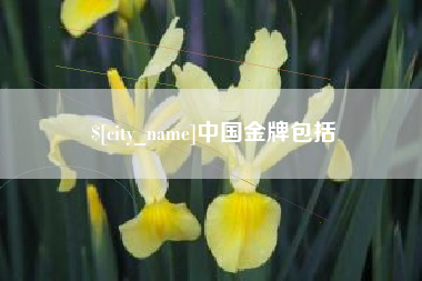 塔城中国金牌包括