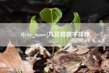 塔城九宫格数字排序
