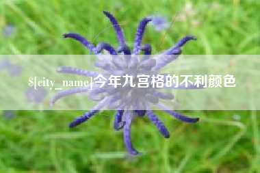 塔城今年九宫格的不利颜色
