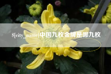 塔城中国九枚金牌是哪九枚
