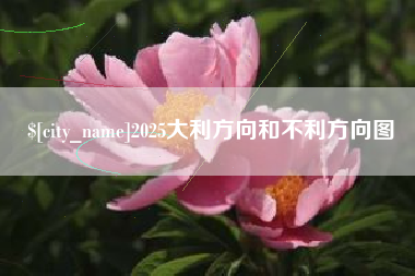 塔城2025大利方向和不利方向图