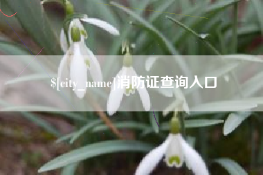 塔城消防证查询入口
