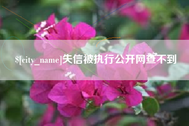塔城失信被执行公开网查不到