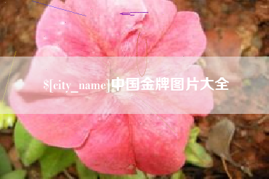 塔城中国金牌图片大全
