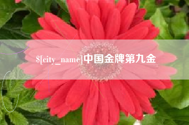 塔城中国金牌第九金