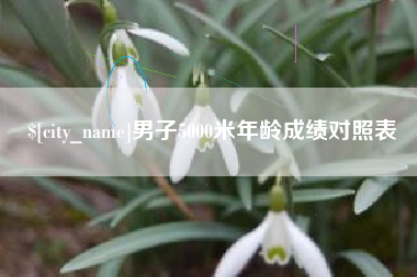塔城男子5000米年龄成绩对照表
