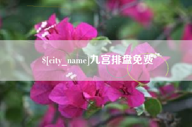 塔城九宫排盘免费