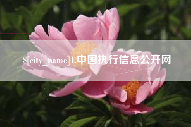 塔城1.中国执行信息公开网
